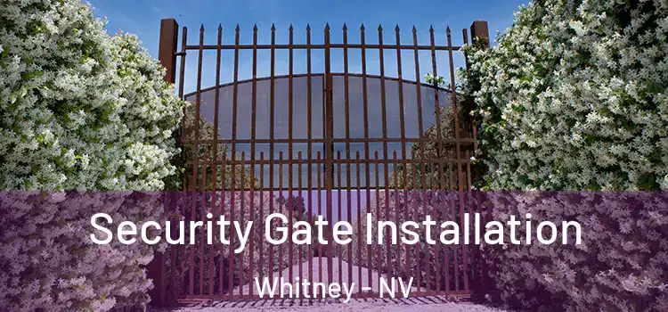 Security Gate Installation Whitney - NV